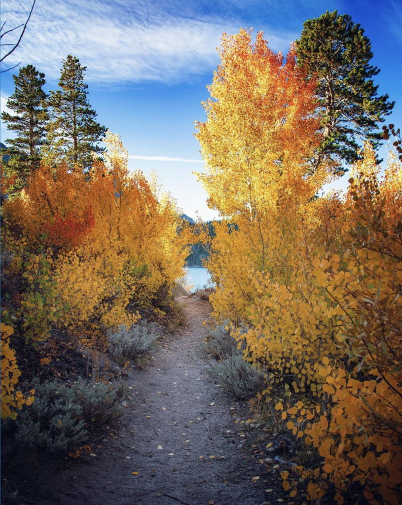 mammoth lakes fall colors 